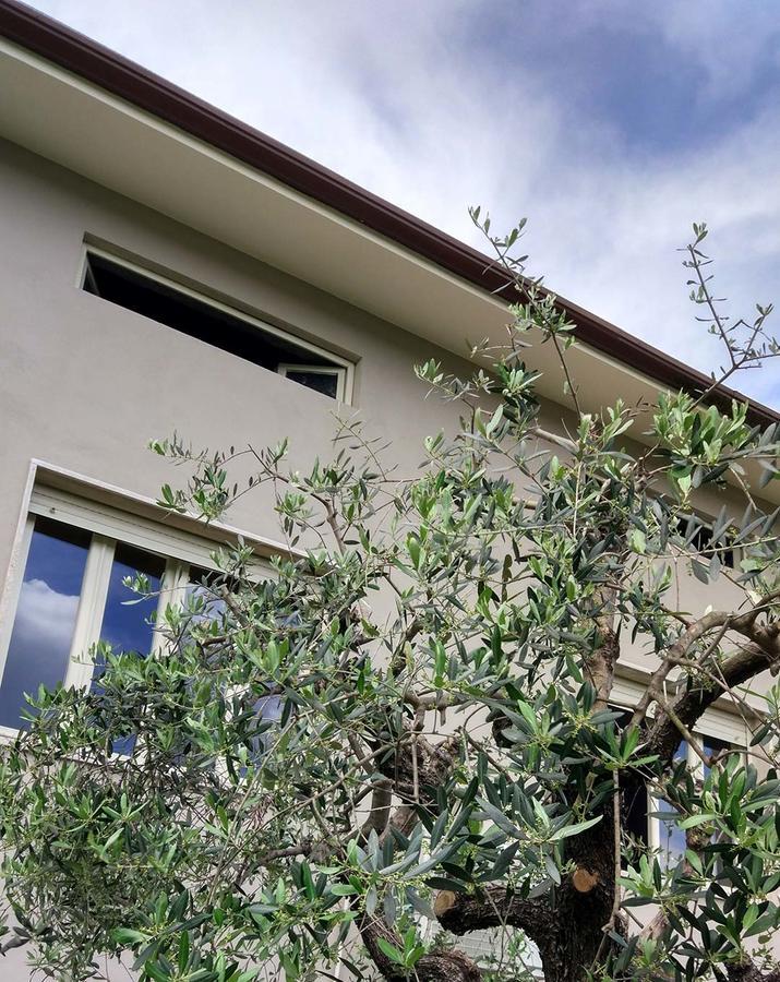 La Locanda Francigena Bed & Breakfast Lucca Exterior foto